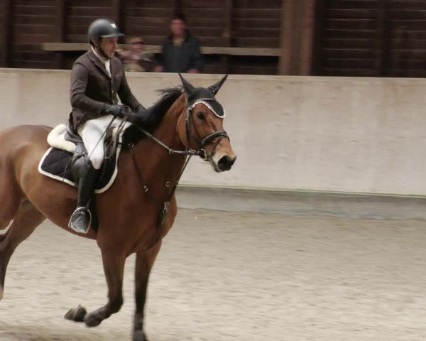 Reitturnier Mannheim-Neckarau 2023
