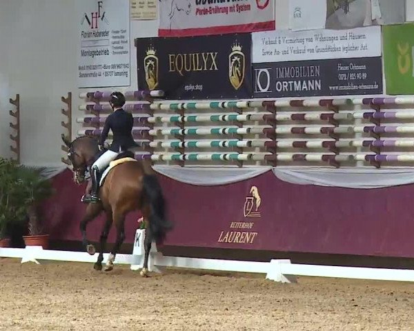 Reitturnier Eicherloh RH Laurent/Obb. 2023