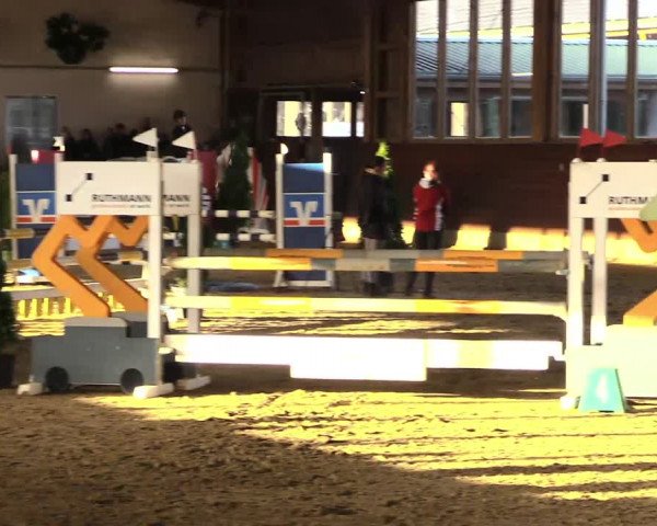Reitturnier Coesfeld/Lette 2021