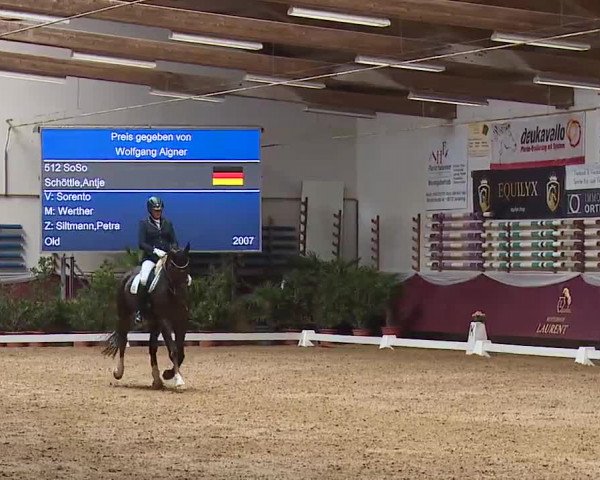 Reitturnier Eicherloh RH Laurent/Obb. 2023