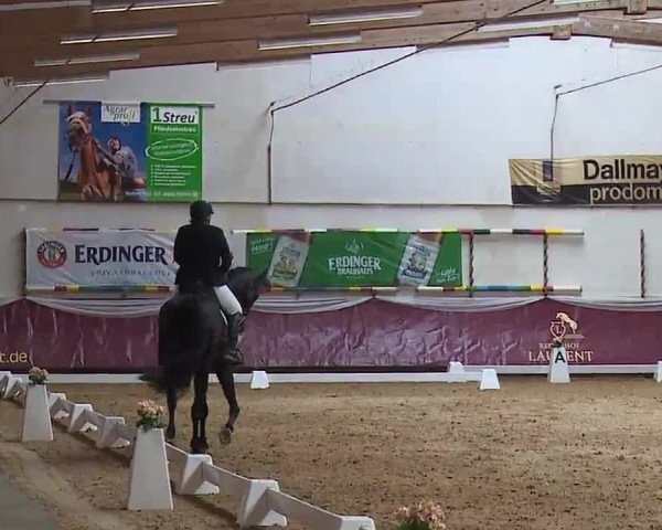 Reitturnier Eicherloh RH Laurent/Obb. 2023