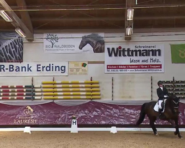 Reitturnier Eicherloh RH Laurent/Obb. 2023