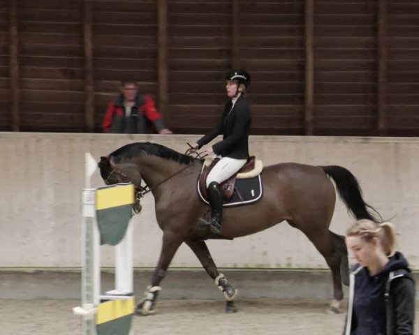 Reitturnier Mannheim-Neckarau 2023