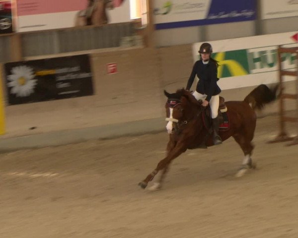 Reitturnier Schaffhausen 2023