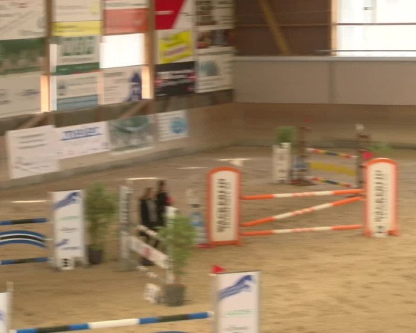 Reitturnier Schaffhausen 2023