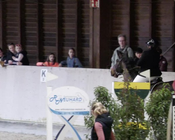 Reitturnier Mannheim-Neckarau 2023