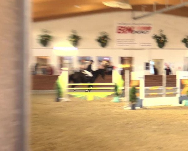 Reitturnier Coesfeld/Lette 2021