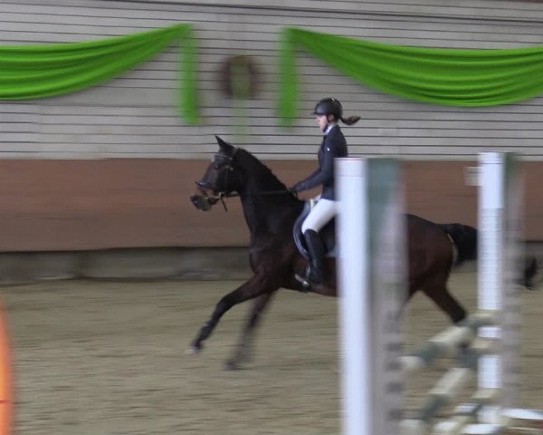 Reitturnier Hellefeld 2023