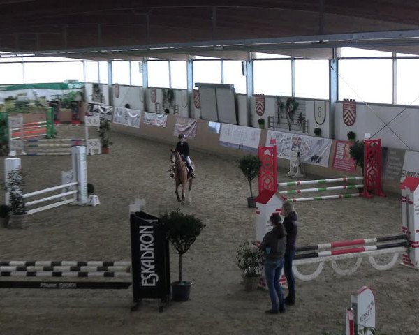 Reitturnier Borgholzhausen-Westbarthausen 2023