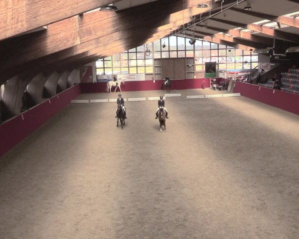Reitturnier Krumke 2023