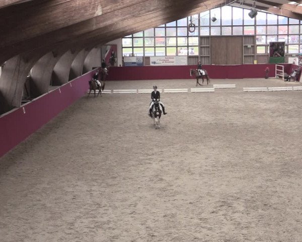 Reitturnier Krumke 2023