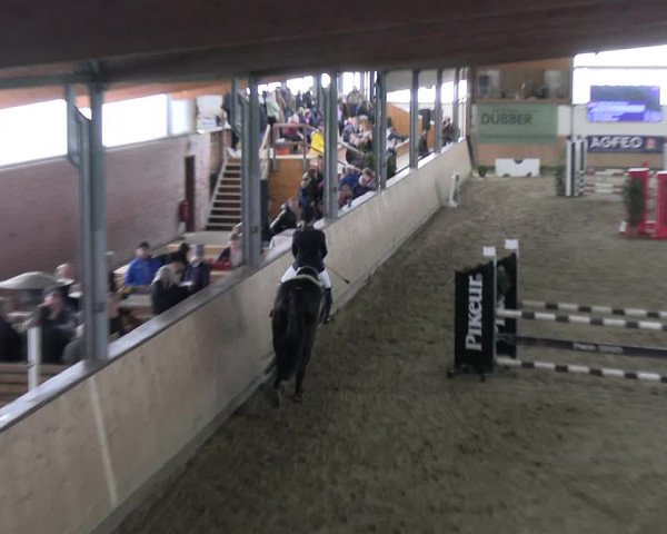 Reitturnier Borgholzhausen-Westbarthausen 2023