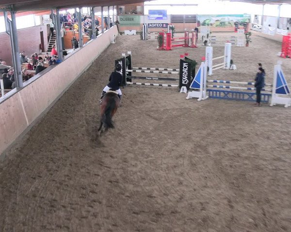 Reitturnier Borgholzhausen-Westbarthausen 2023