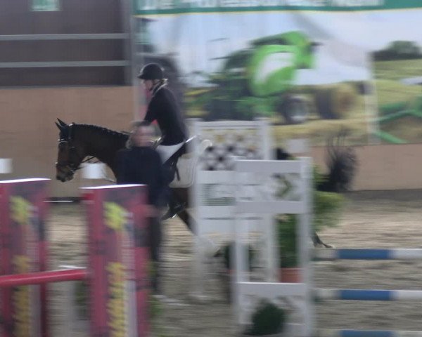 Reitturnier Borgholzhausen-Westbarthausen 2023