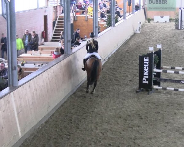 Reitturnier Borgholzhausen-Westbarthausen 2023