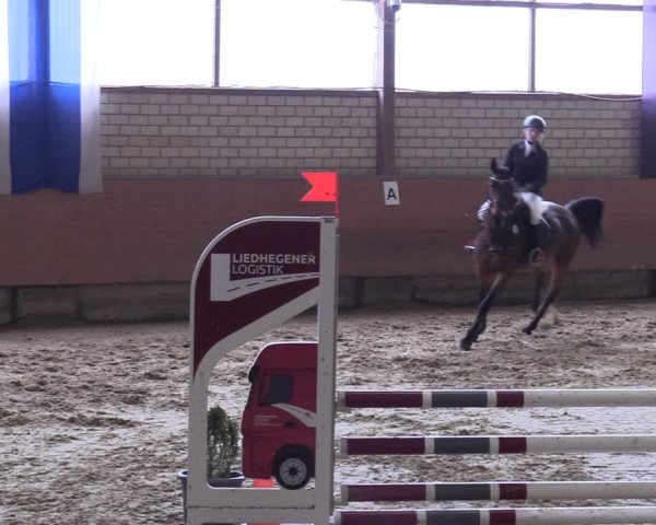 Reitturnier Hellefeld 2023