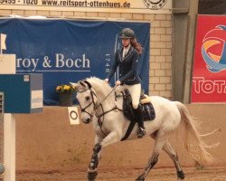 Springpferd Rosa Luxemburg 5 (Westfale, 2008, von Royal Diamond)
