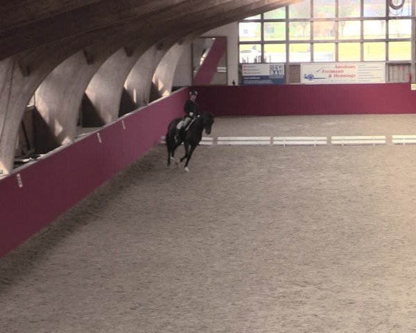 Reitturnier Krumke 2023