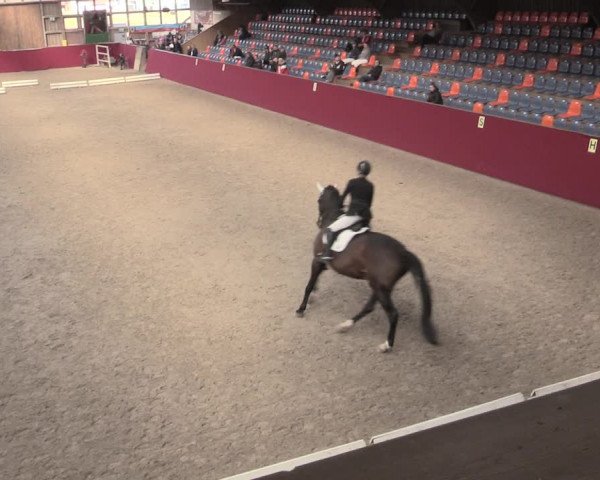 Reitturnier Krumke 2023