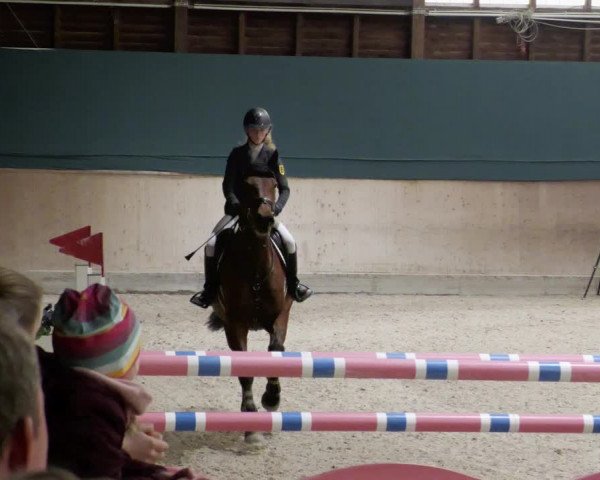 Reitturnier Mannheim-Neckarau 2023
