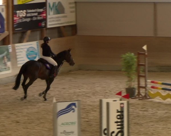 Reitturnier Schaffhausen 2023