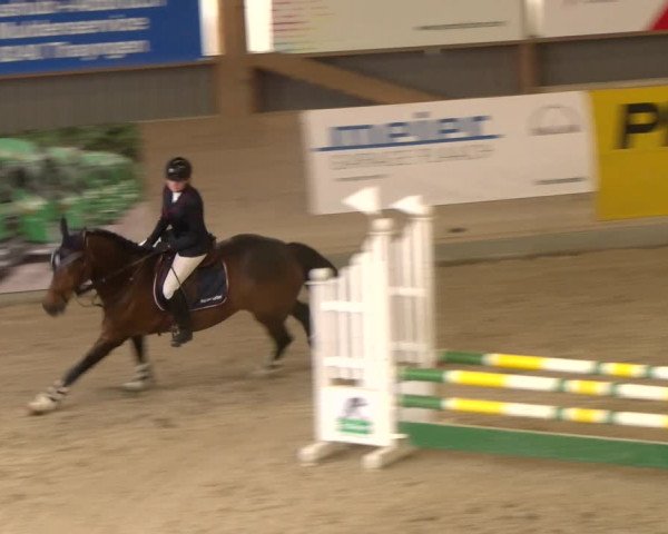 Reitturnier Schaffhausen 2023