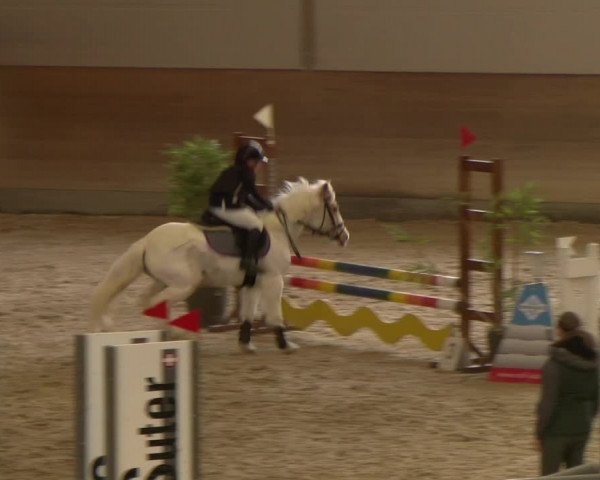 Reitturnier Schaffhausen 2023