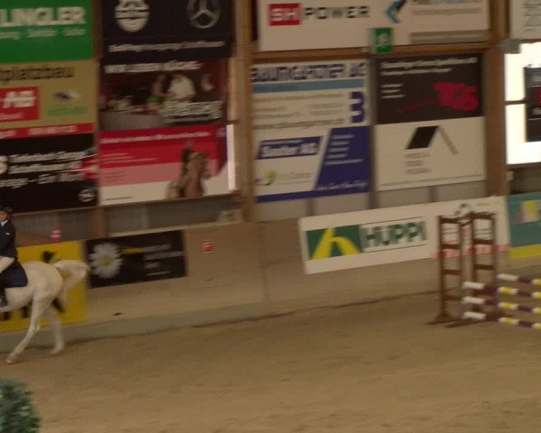 Reitturnier Schaffhausen 2023