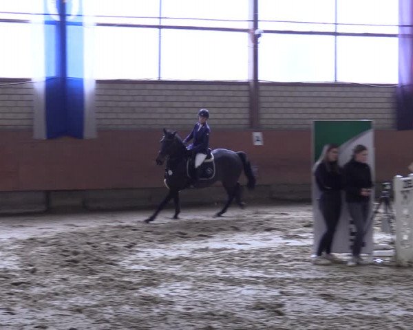 Reitturnier Hellefeld 2023