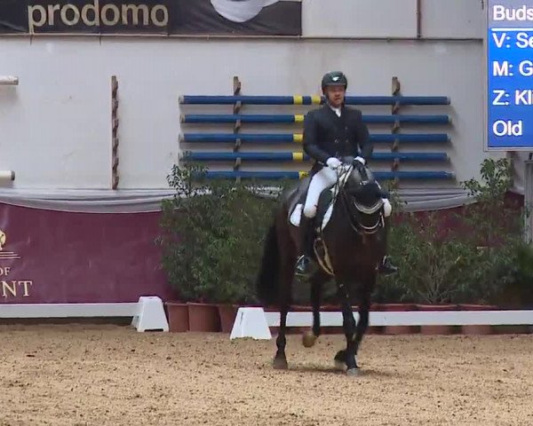 Reitturnier Eicherloh RH Laurent/Obb. 2023