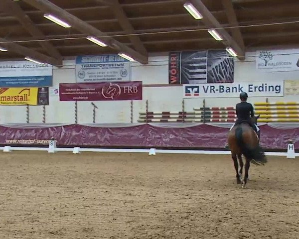 Reitturnier Eicherloh RH Laurent/Obb. 2023