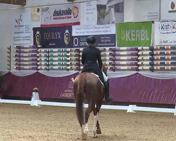 Reitturnier Eicherloh RH Laurent/Obb. 2023
