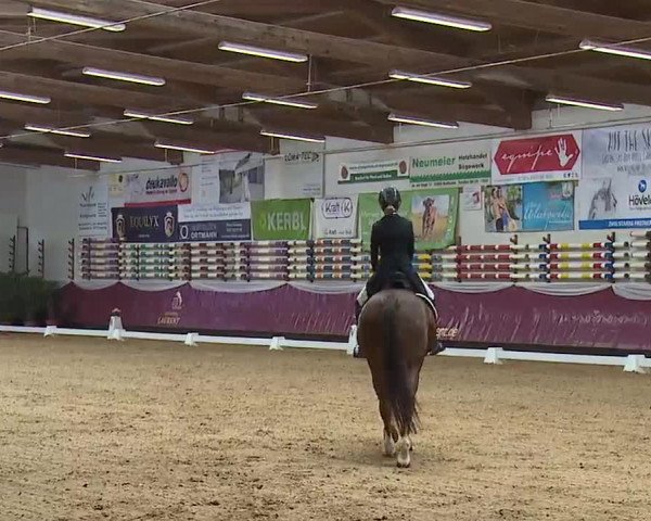 Reitturnier Eicherloh RH Laurent/Obb. 2023