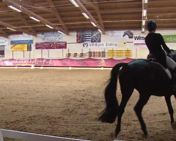 Reitturnier Eicherloh RH Laurent/Obb. 2023