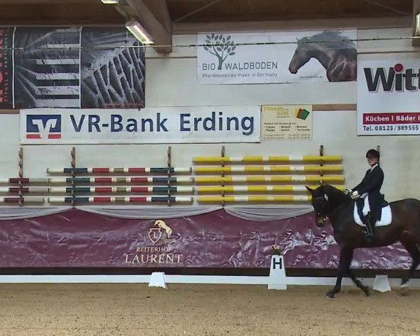 Reitturnier Eicherloh RH Laurent/Obb. 2023