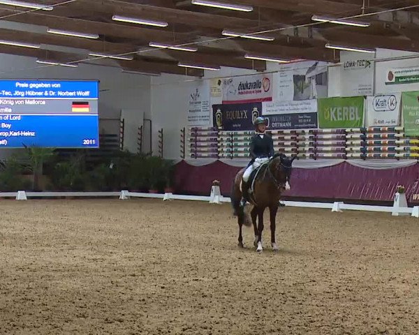 Reitturnier Eicherloh RH Laurent/Obb. 2023
