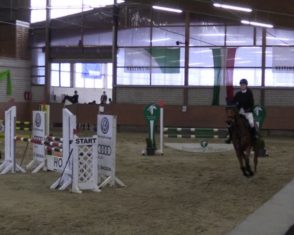 Reitturnier Hellefeld 2023