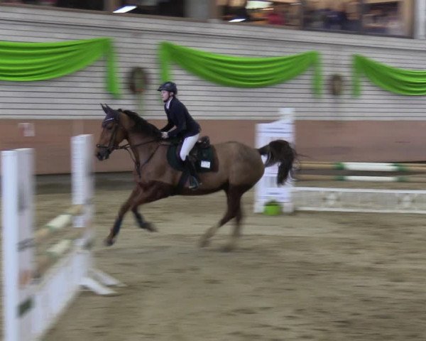 Reitturnier Hellefeld 2023