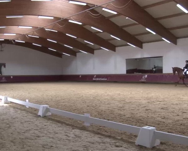 Reitturnier Eicherloh RH Laurent/Obb. 2023
