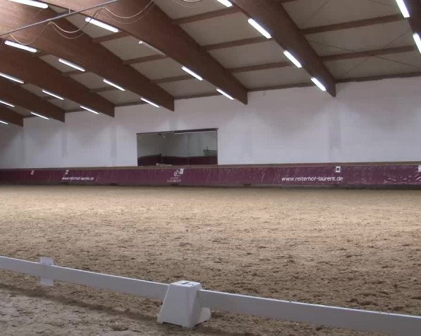 Reitturnier Eicherloh RH Laurent/Obb. 2023