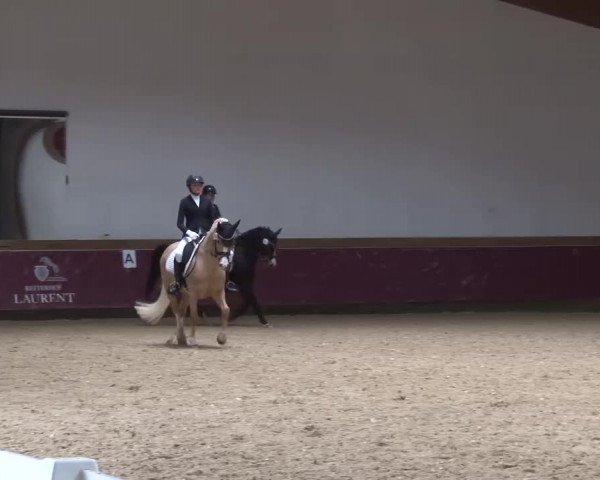 Reitturnier Eicherloh RH Laurent/Obb. 2023