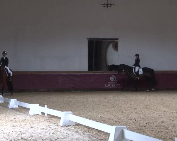 Reitturnier Eicherloh RH Laurent/Obb. 2023