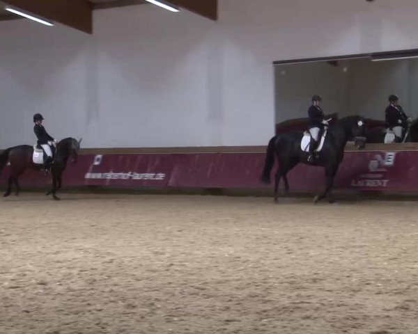 Reitturnier Eicherloh RH Laurent/Obb. 2023