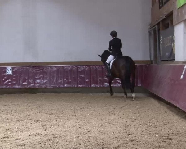 Reitturnier Eicherloh RH Laurent/Obb. 2023