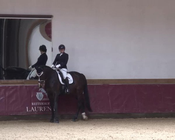 Reitturnier Eicherloh RH Laurent/Obb. 2023