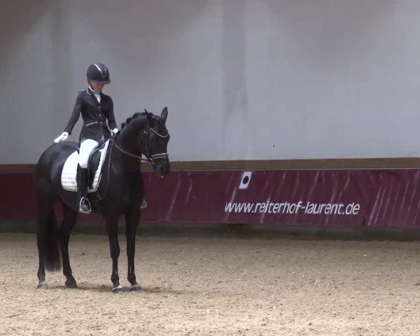 Reitturnier Eicherloh RH Laurent/Obb. 2023