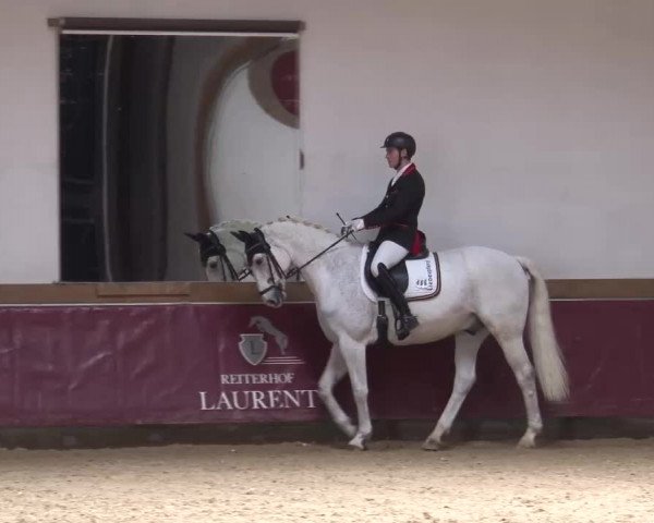 Reitturnier Eicherloh RH Laurent/Obb. 2023