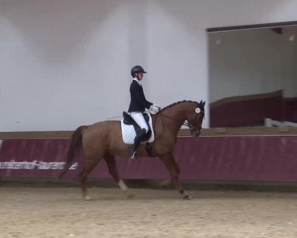 Reitturnier Eicherloh RH Laurent/Obb. 2023