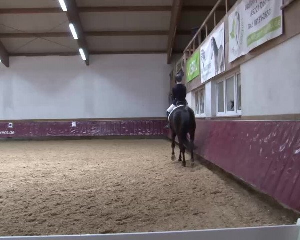 Reitturnier Eicherloh RH Laurent/Obb. 2023