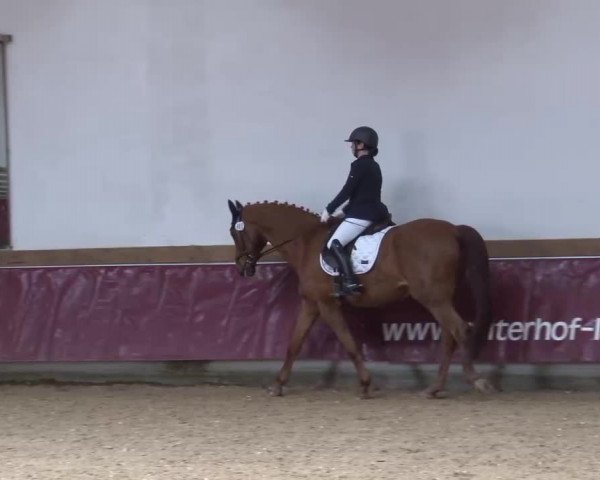 Reitturnier Eicherloh RH Laurent/Obb. 2023